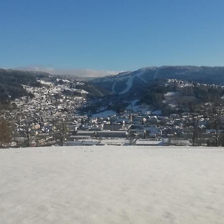 Les Dryades L'Epicéa Gérardmer Extérieur photo